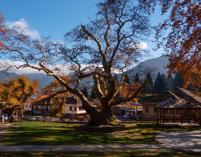 istockphoto-2207309265-612x612 (1)