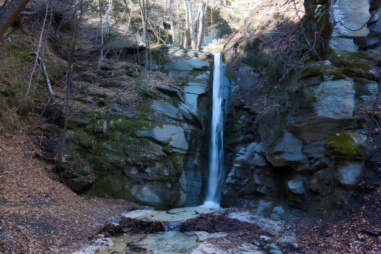 istockphoto-2178778390-612x612 (1)