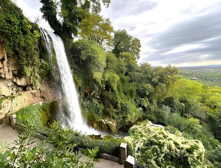 istockphoto-2212769509-612x612 (1)