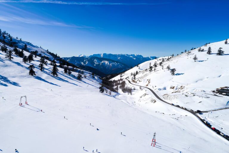 ΒΑΣΙΛΙΤΣΑ (1)